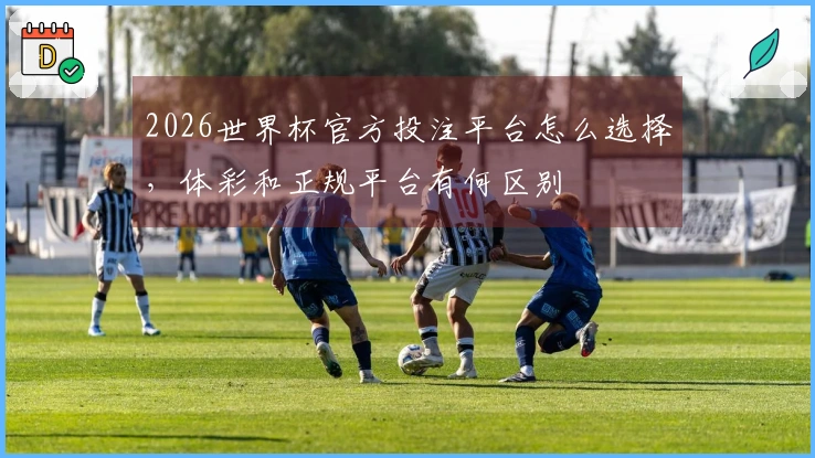 2026世界杯官方投注平台怎么选择，体彩和正规平台有何区别