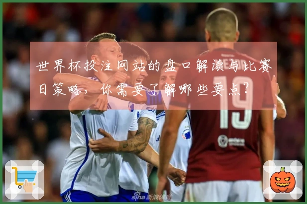 世界杯投注网站的盘口解读与比赛日策略，你需要了解哪些要点？