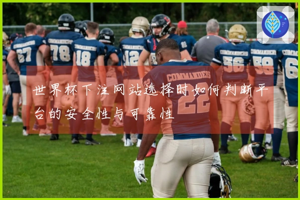 世界杯下注网站选择时如何判断平台的安全性与可靠性