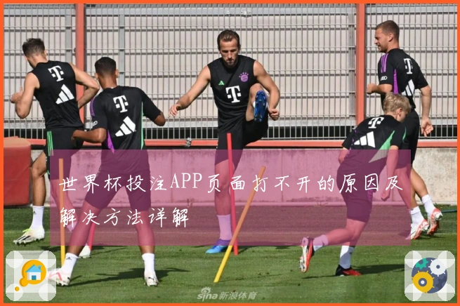 世界杯投注APP页面打不开的原因及解决方法详解