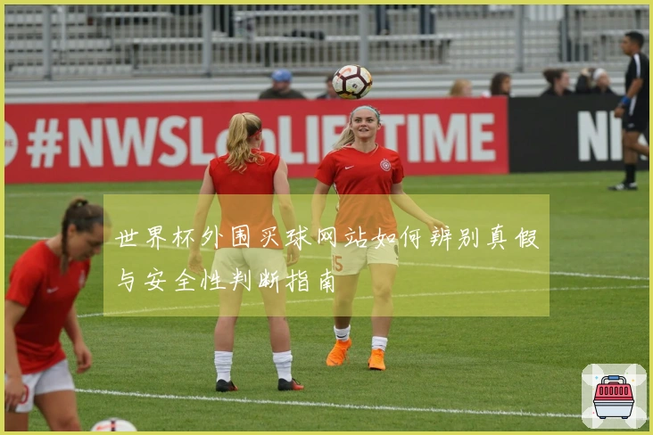 世界杯外围买球网站如何辨别真假与安全性判断指南