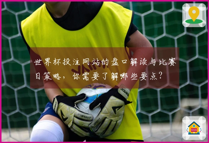 世界杯投注网站的盘口解读与比赛日策略，你需要了解哪些要点？