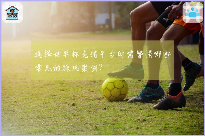 选择世界杯竞猜平台时需警惕哪些常见的踩坑案例？
