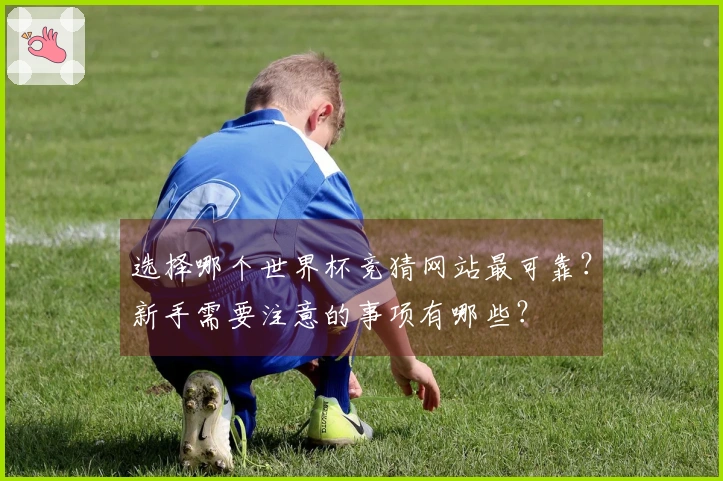 选择哪个世界杯竞猜网站最可靠？新手需要注意的事项有哪些？