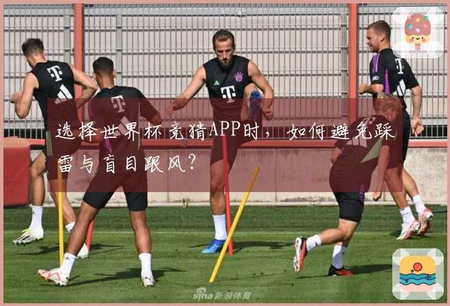 选择世界杯竞猜APP时，如何避免踩雷与盲目跟风？