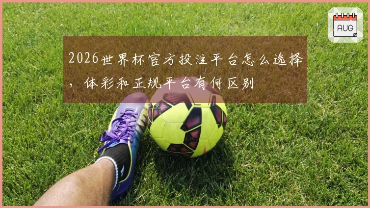 2026世界杯官方投注平台怎么选择，体彩和正规平台有何区别