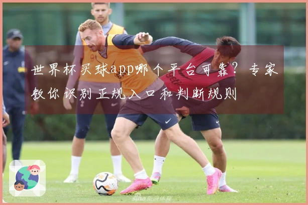 世界杯买球app哪个平台可靠？专家教你识别正规入口和判断规则