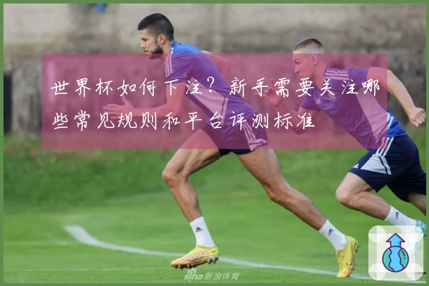 世界杯如何下注？新手需要关注哪些常见规则和平台评测标准